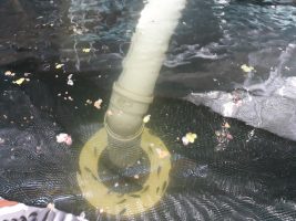 20180702_161604